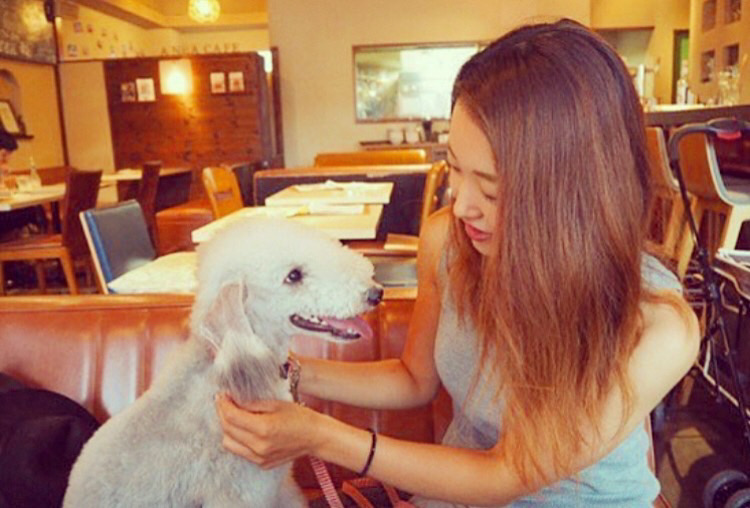 【10月】もうちょっと犬になる学校