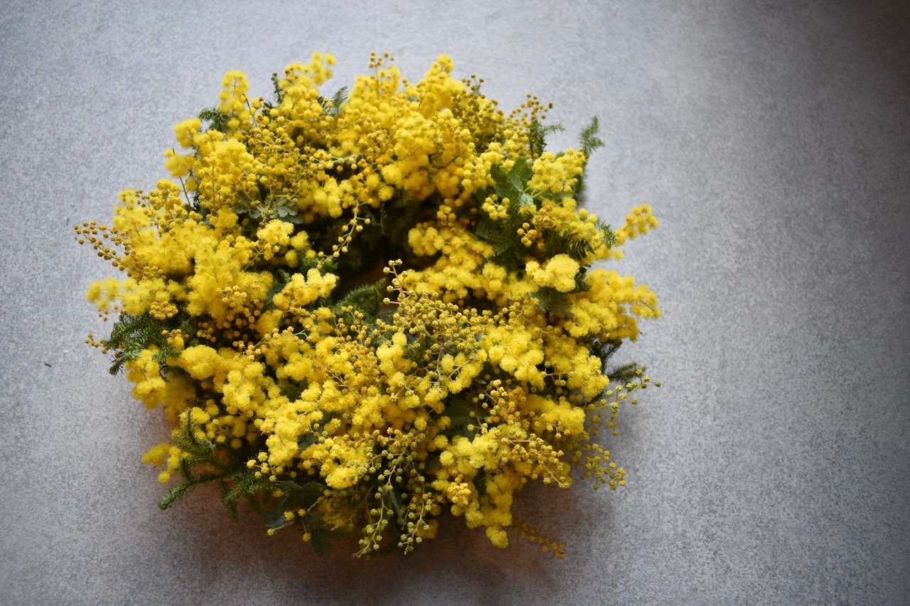 【2月】ミモザのリース作り