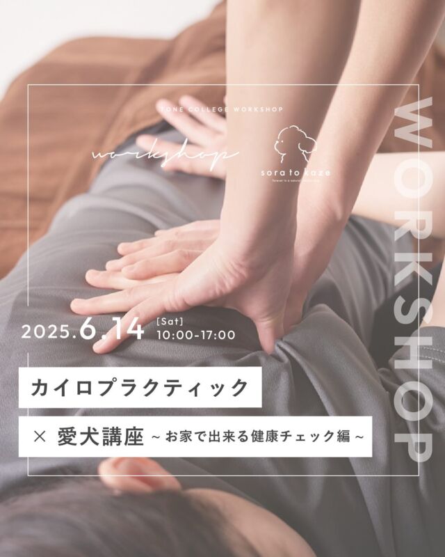 🐶sora to kaze ワークショップのお知らせ🐶

関東を中心に16年間カイロプラクティックの施術をされている
カイロプラクティック　ネクサス代表の藤岡亮太（＠dr.chiropractic_nexus）さんと
わんちゃんの心と身体に寄り添ったグルーマーで
tone villageのドッグサロン「sora to kaze」店長を務める星野さんによる
わんちゃんと飼い主さまのためのコラボレーション企画

「自律神経を整えるカイロプラクティック
　　×愛犬講座 〜お家で出来る健康チェック編〜」

を開催いたします。

わんちゃんの健康も大切ですが、
まずは飼い主さんが健康でいることがいちばんです。

飼い主さんが元気でいるからこそ、
わんちゃんの健康管理やケアに思い切り取り組めるのだと考えます。

そこで、日々わんちゃんの為に頑張っている飼い主さんのために考えたのが本企画。

ご自身の身体のケアの為に　カイロプラクティック　を受けてみませんか？

カイロプラクティックでは、
痛みや違和感、内臓や体の不調全般に影響している
神経の出所【骨の歪み】自体にアプローチすることができ、
『諦め』を『解放』させていくことが得意です。

・肩こりや腰痛が何をしても良くならない
・頭痛薬が手放せなくて困ってる
・妊娠中の体の変化や負担が心配
・産前/産後の身体をしっかり整えたい
・痛みの本当の原因を知りたい
マタニティの方の施術や、産前産後のメンテナンスも対応させていただきます。

カイロプラクティックで飼い主さんのカラダを整えたら、
わんちゃんの健康を整えることについて一緒に考えましょう。

元気に過ごせるカラダでいるとわんちゃんにどう影響するのか？
わんちゃんの健康を守るためにはどんなことに気を配ればいいのか？
・・・など
飼い主さんとわんちゃんの毎日をより良くするためのヒントを
一対一でじっくりお話を伺いながらお伝えいたします。

ぜひお気軽にご参加くださいね♪

【内容】カイロプラクティックの施術と愛犬講座

【日時】
6月14日(土)　受付時間10：00～17：00
※各枠1時間、1名様ずつのご案内
※カイロプラクティック30分・愛犬講座30分の計1時間です 　

【定員】
各回一名様

【参加費】
特別価格　8,000円　（税込）（tone cafeドリンクチケット付き）
※お会計は現金のみとなります

【持ち物】
必要であれば筆記用具

【申込】
プロフィール欄のリンク
「ワークショップのお申し込みはこちらから」
よりお申込みください。

【その他】
①スカートでお越しの方はズボンのお着替えをお持ちください。
②栄養状態も知りたい方は血液検査のデータをお持ちください。

ーーーーーーーーーーーーーーー

tone villageは長野県長野市の複合施設です。
毎月ワークショップも行っています🕊

「カフェ」@tonecafe_nagano
「ドッグサロン」@soratokaze_wan
「ネイルサロン」@blanchefle2017
「デザイン会社」@apricot.design

〒381-2205
長野県長野市青木島町大塚901-2
無料駐車場10台（各店舗共通）

【休業日について】
不定休のため、プロフィール欄のカレンダーよりご確認ください。

【tone cafeご予約について】
大変申し訳ございませんが、席数に限りがございますためご予約は承っておりません。ご来店されたお客様から順番にご案内しております。
何卒ご理解の程、よろしくお願いいたします。

ーーーーーーーーーーーーーーー
#tonevillage #tonecafe #blanchefle #soratokaze #tonecollege #トーンビレッジ #アプリコットデザイン #ソラトカゼ #ドッグサロン #グルーミングサロン #トリミングサロン #grooming #dog #長野県 #長野市 #カイロプラクティック#犬の健康  #愛犬家
