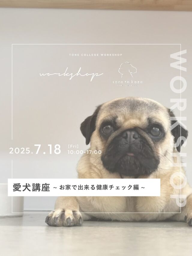 🐶sora to kaze ワークショップのお知らせ🐶

わんちゃんの心と身体に寄り添ったtone villageの
ドッグサロン「sora to kaze」による
「愛犬講座 〜お家で出来る健康チェック編〜」
を開催いたします🐕

【内容】愛犬講座~お家で出来る健康チェック編~

【日時】
7月18日(金)　受付時間10：00～16：20
※一組さま約30分の個別相談会です　

【定員】
各回一組さま

【参加費】
3,000円　（税込）
※お会計は現金のみとなります

【持ち物】
必要であれば筆記用具

【申込】
プロフィール欄のリンク
「ワークショップのお申し込みはこちらから」
よりお申込みください。
sora to kazeに直接お申し込みもOKです。

ーーーーーーーーーーーーーーー

tone villageは長野県長野市の複合施設です。
毎月ワークショップも行っています🕊

「カフェ」@tonecafe_nagano
「ドッグサロン」@soratokaze_wan
「ネイルサロン」@blanchefle2017
「デザイン会社」@apricot.design

〒381-2205
長野県長野市青木島町大塚901-2
無料駐車場10台（各店舗共通）

【休業日について】
不定休のため、プロフィール欄のカレンダーよりご確認ください。

【tone cafeご予約について】
大変申し訳ございませんが、席数に限りがございますためご予約は承っておりません。ご来店されたお客様から順番にご案内しております。
何卒ご理解の程、よろしくお願いいたします。

ーーーーーーーーーーーーーーー
#tonevillage #tonecafe #blanchefle #soratokaze #tonecollege #トーンビレッジ #アプリコットデザイン #ソラトカゼ #ドッグサロン #グルーミングサロン #トリミングサロン #grooming #dog #長野県 #長野市 #カイロプラクティック#犬の健康  #愛犬家